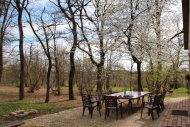 La terrasse